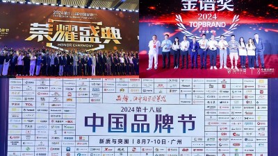東晟密封件閃耀2024第十八屆中國品牌節(jié)，榮獲密封技術(shù)“金譜獎”
