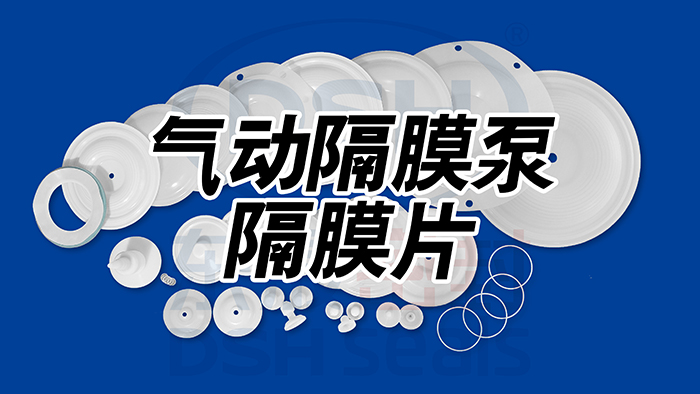 氣動(dòng)隔膜泵隔膜片密封件1東晟