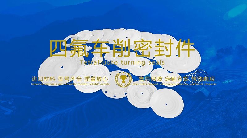 四氟車削密封件密封圈油封膜片配件產(chǎn)品圖
