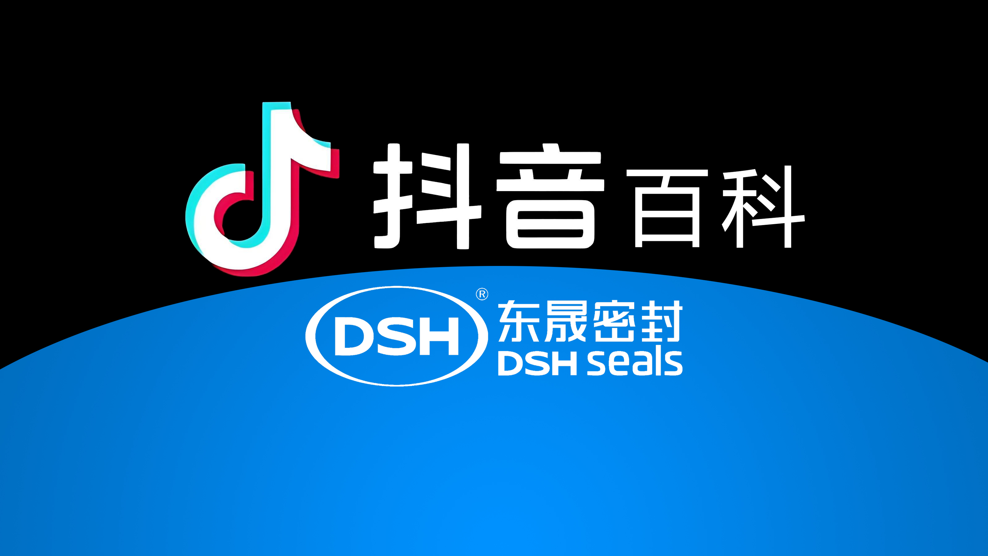 權(quán)威解讀，東晟密封件<i style='color:red'>官方百科</i>閃耀抖音！