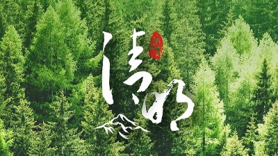 <i style='color:red'>清明</i>節(jié)：又是一年<i style='color:red'>清明</i>時！