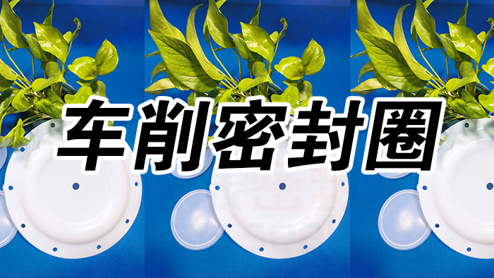 2車削密封圈，氣動隔膜泵膜片密封件