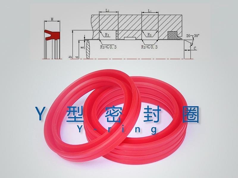 Y型密封圈（密封件、油封）與截面結(jié)構(gòu)產(chǎn)品圖