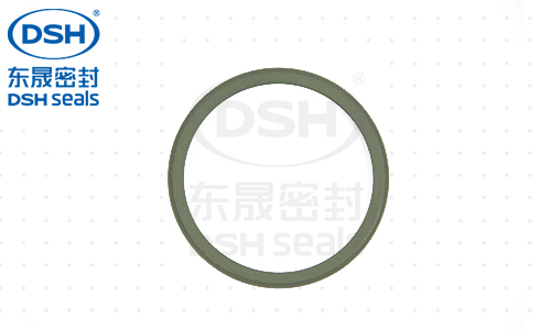 DGDA密封環(huán)